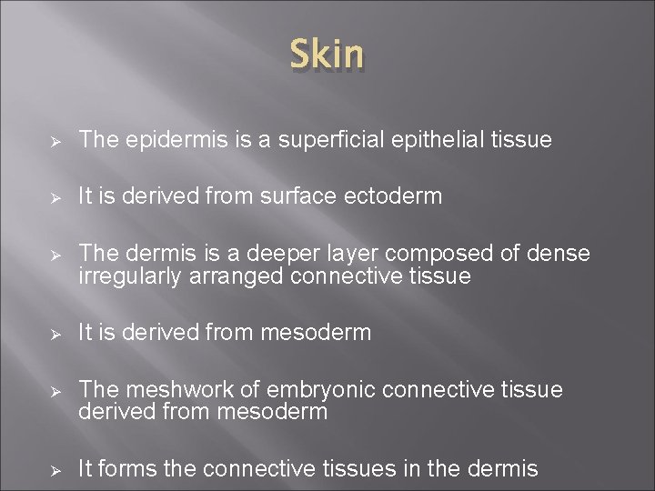 Skin Ø The epidermis is a superficial epithelial tissue Ø It is derived from