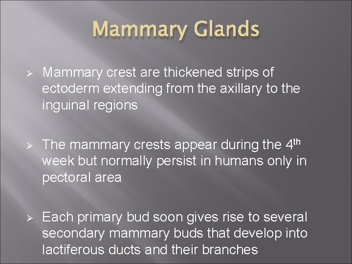 Mammary Glands Ø Mammary crest are thickened strips of ectoderm extending from the axillary