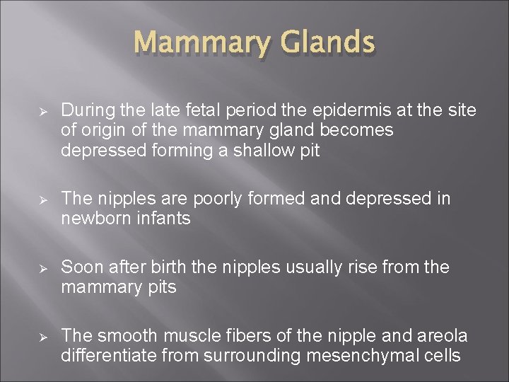 Mammary Glands Ø During the late fetal period the epidermis at the site of