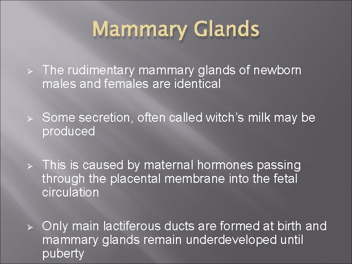 Mammary Glands Ø The rudimentary mammary glands of newborn males and females are identical