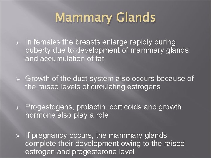 Mammary Glands Ø In females the breasts enlarge rapidly during puberty due to development