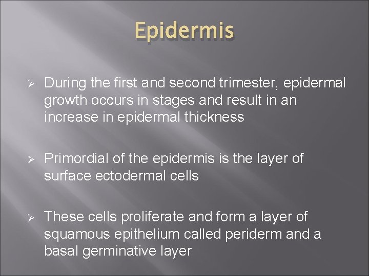 Epidermis Ø During the first and second trimester, epidermal growth occurs in stages and