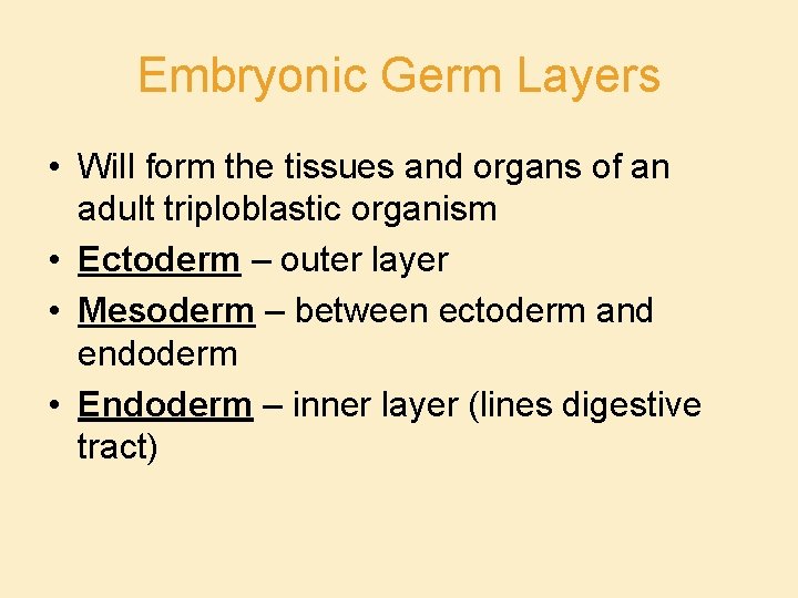 Embryonic Germ Layers • Will form the tissues and organs of an adult triploblastic