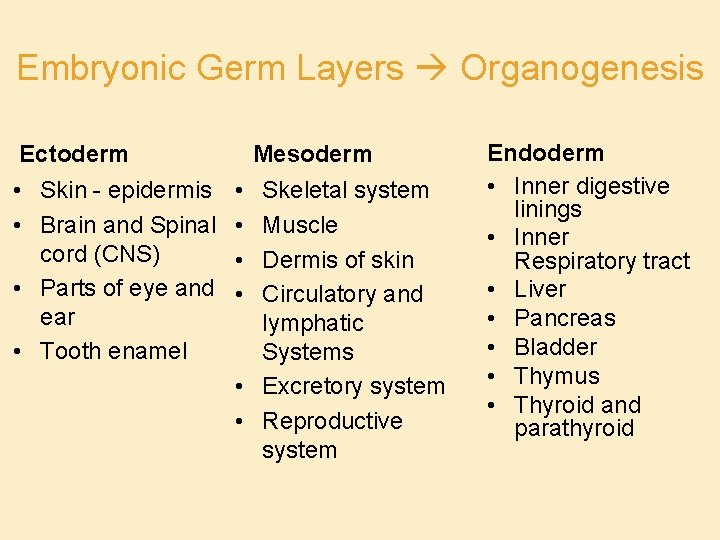 Embryonic Germ Layers Organogenesis Ectoderm • Skin - epidermis • Brain and Spinal cord