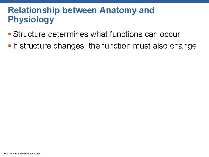 Relationship between Anatomy and Physiology § Structure determines what functions can occur § If