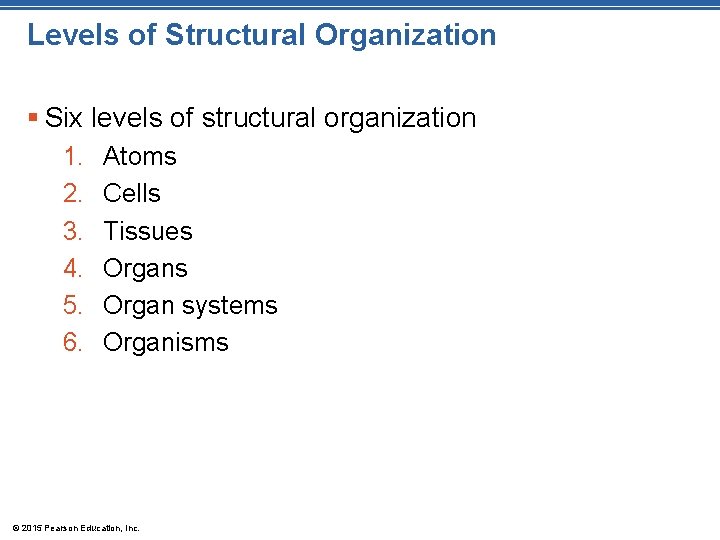 Levels of Structural Organization § Six levels of structural organization 1. 2. 3. 4.