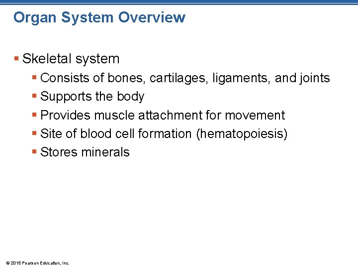 Organ System Overview § Skeletal system § Consists of bones, cartilages, ligaments, and joints Organ System Overview § Skeletal system § Consists of bones, cartilages, ligaments, and joints