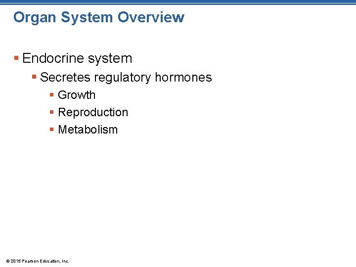 Organ System Overview § Endocrine system § Secretes regulatory hormones § Growth § Reproduction Organ System Overview § Endocrine system § Secretes regulatory hormones § Growth § Reproduction