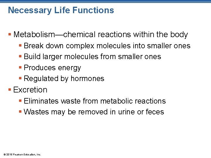 Necessary Life Functions § Metabolism—chemical reactions within the body § Break down complex molecules Necessary Life Functions § Metabolism—chemical reactions within the body § Break down complex molecules