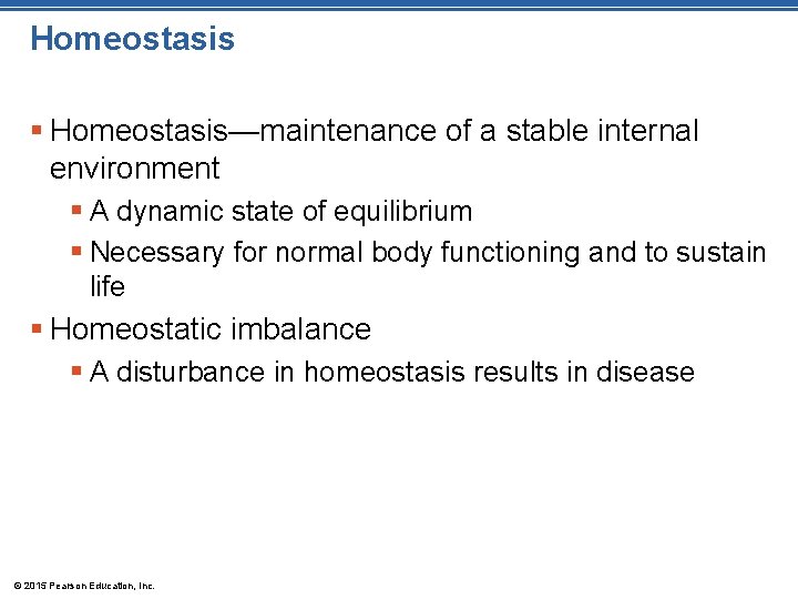 Homeostasis § Homeostasis—maintenance of a stable internal environment § A dynamic state of equilibrium