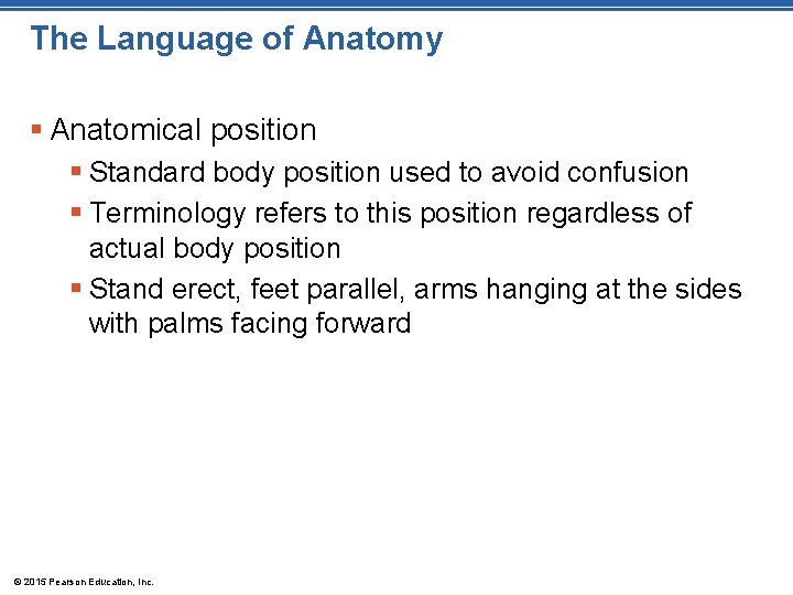The Language of Anatomy § Anatomical position § Standard body position used to avoid