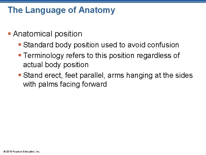 The Language of Anatomy § Anatomical position § Standard body position used to avoid The Language of Anatomy § Anatomical position § Standard body position used to avoid