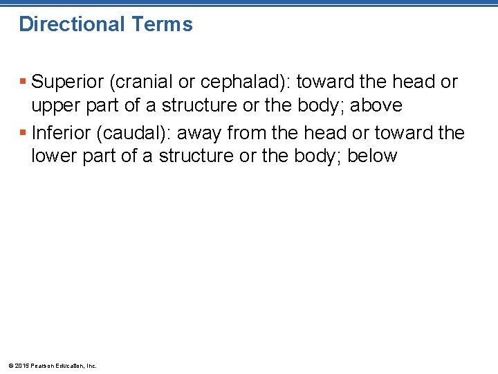 Directional Terms § Superior (cranial or cephalad): toward the head or upper part of