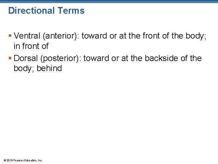 Directional Terms § Ventral (anterior): toward or at the front of the body; in