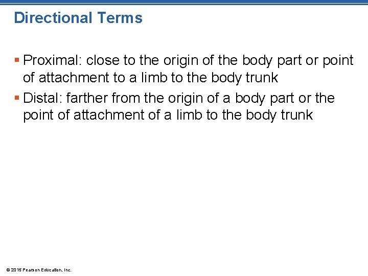 Directional Terms § Proximal: close to the origin of the body part or point Directional Terms § Proximal: close to the origin of the body part or point