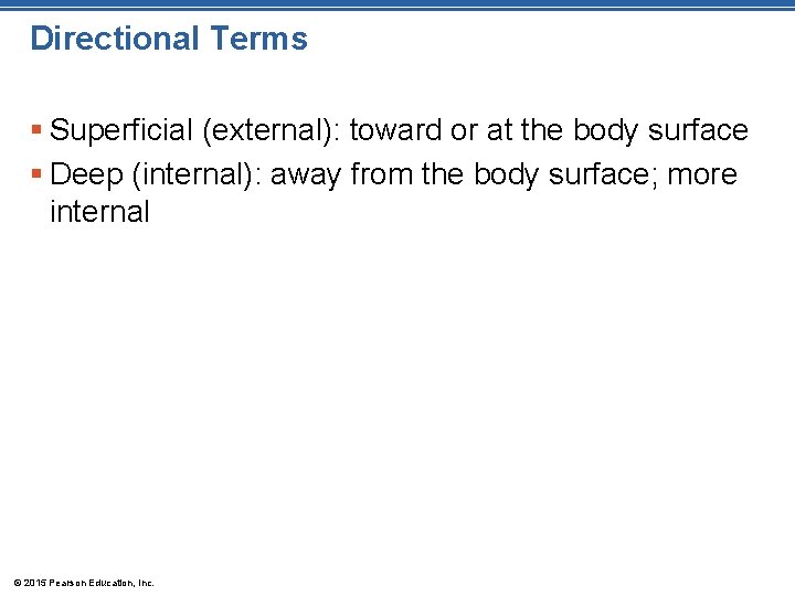 Directional Terms § Superficial (external): toward or at the body surface § Deep (internal):