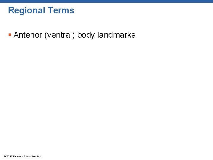 Regional Terms § Anterior (ventral) body landmarks © 2015 Pearson Education, Inc. 