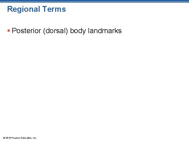 Regional Terms § Posterior (dorsal) body landmarks © 2015 Pearson Education, Inc. Regional Terms § Posterior (dorsal) body landmarks © 2015 Pearson Education, Inc.