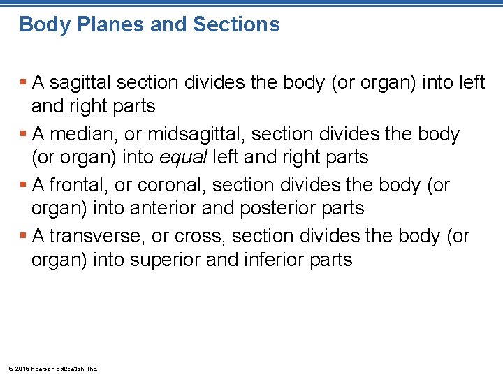 Body Planes and Sections § A sagittal section divides the body (or organ) into