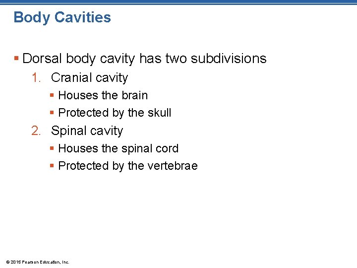 Body Cavities § Dorsal body cavity has two subdivisions 1. Cranial cavity § Houses Body Cavities § Dorsal body cavity has two subdivisions 1. Cranial cavity § Houses