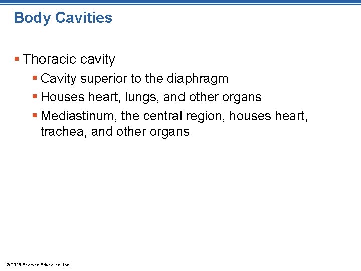 Body Cavities § Thoracic cavity § Cavity superior to the diaphragm § Houses heart, Body Cavities § Thoracic cavity § Cavity superior to the diaphragm § Houses heart,
