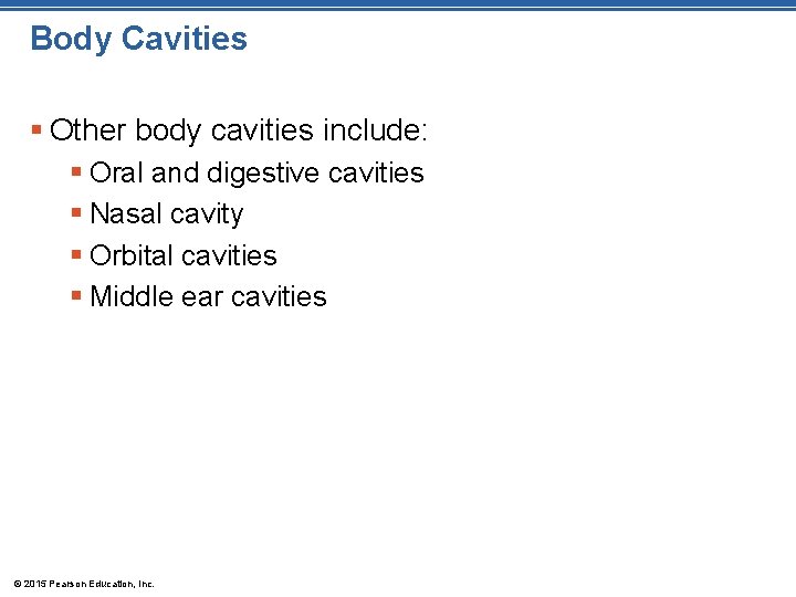 Body Cavities § Other body cavities include: § Oral and digestive cavities § Nasal