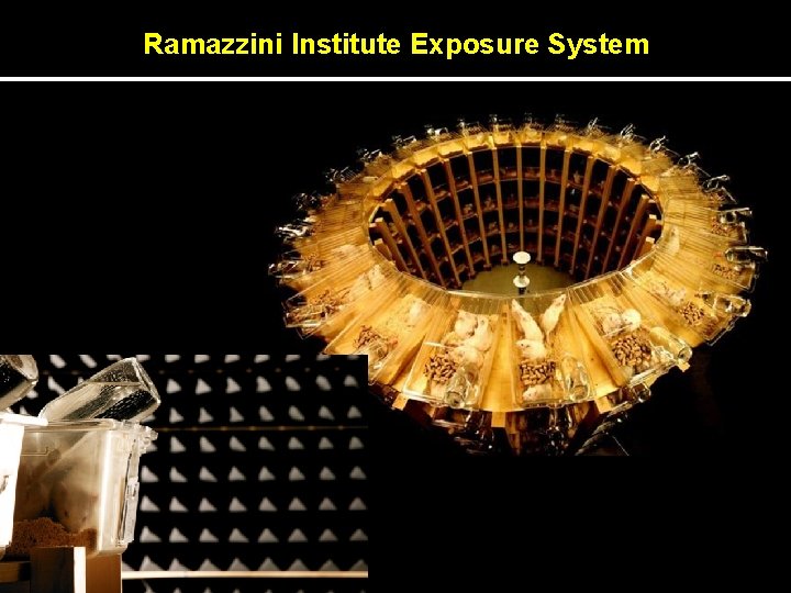 Ramazzini Institute Exposure System 