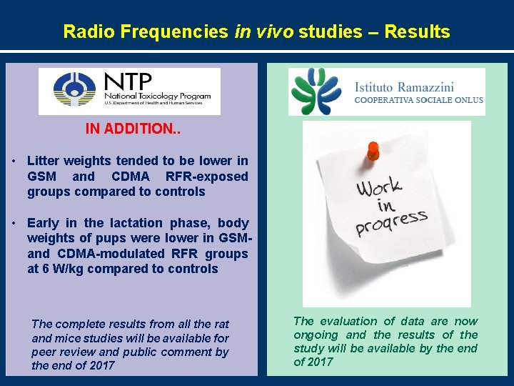 Radio Frequencies in vivo studies – Results IN ADDITION. . • Litter weights tended