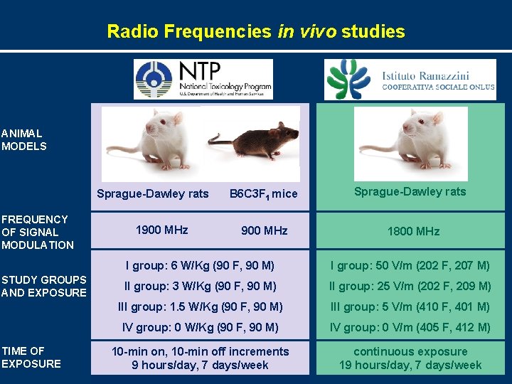 Radio Frequencies in vivo studies ANIMAL MODELS Sprague-Dawley rats FREQUENCY OF SIGNAL MODULATION STUDY
