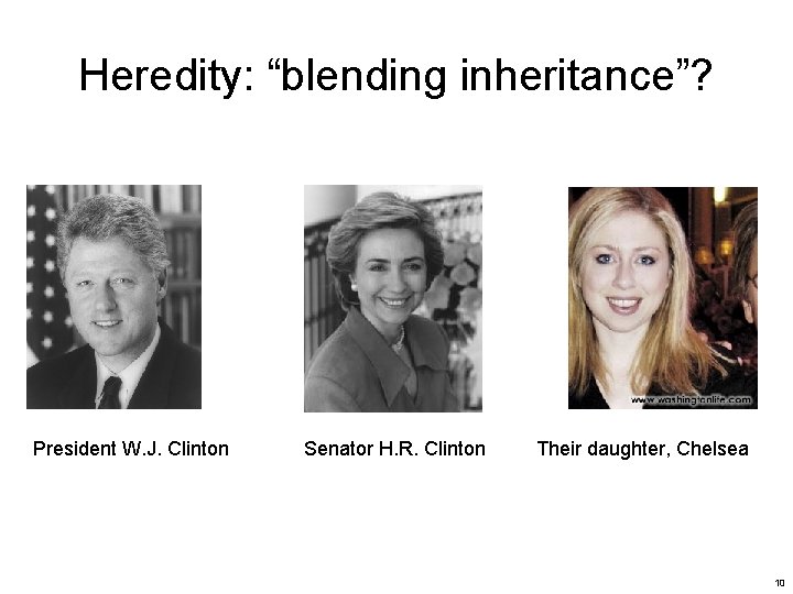 Heredity: “blending inheritance”? President W. J. Clinton Senator H. R. Clinton Their daughter, Chelsea