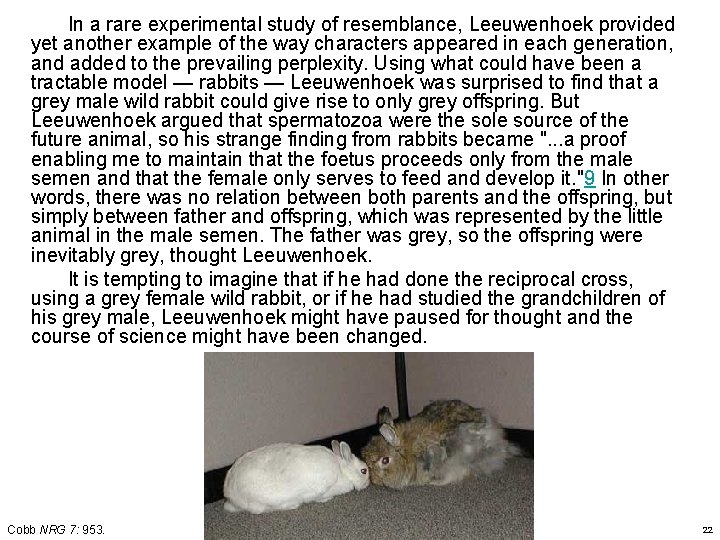 In a rare experimental study of resemblance, Leeuwenhoek provided yet another example of the