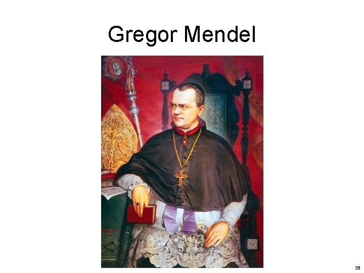 Gregor Mendel 28 