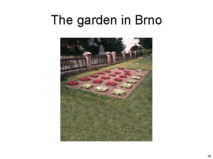 The garden in Brno 29 