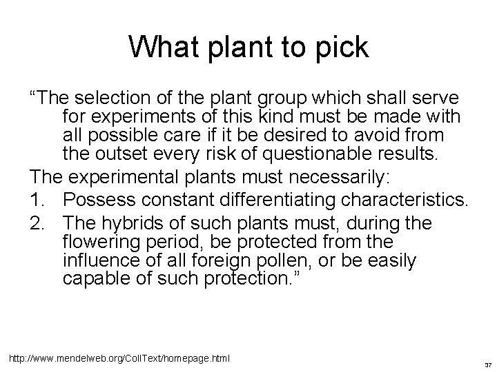 What plant to pick “The selection of the plant group which shall serve for