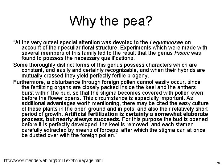 Why the pea? “At the very outset special attention was devoted to the Leguminosae