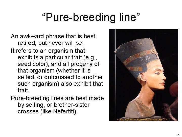 “Pure-breeding line” An awkward phrase that is best retired, but never will be. It