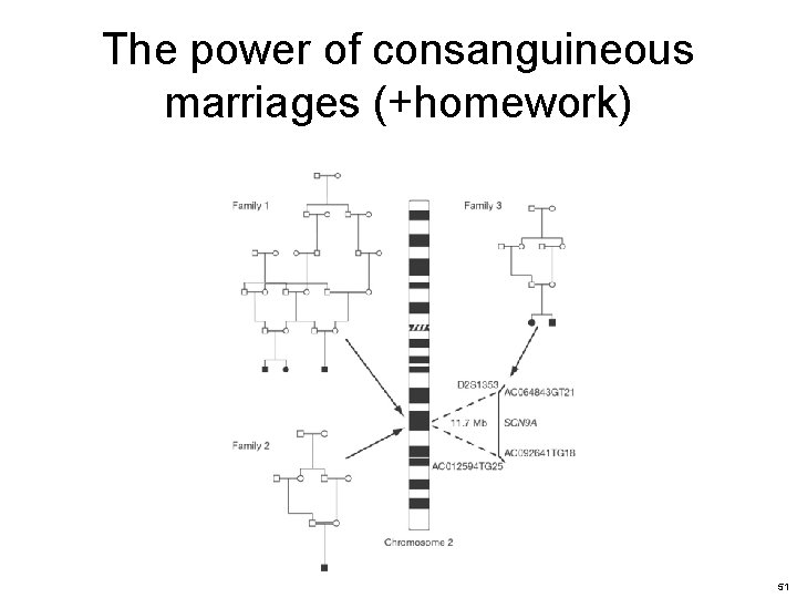 The power of consanguineous marriages (+homework) 51 
