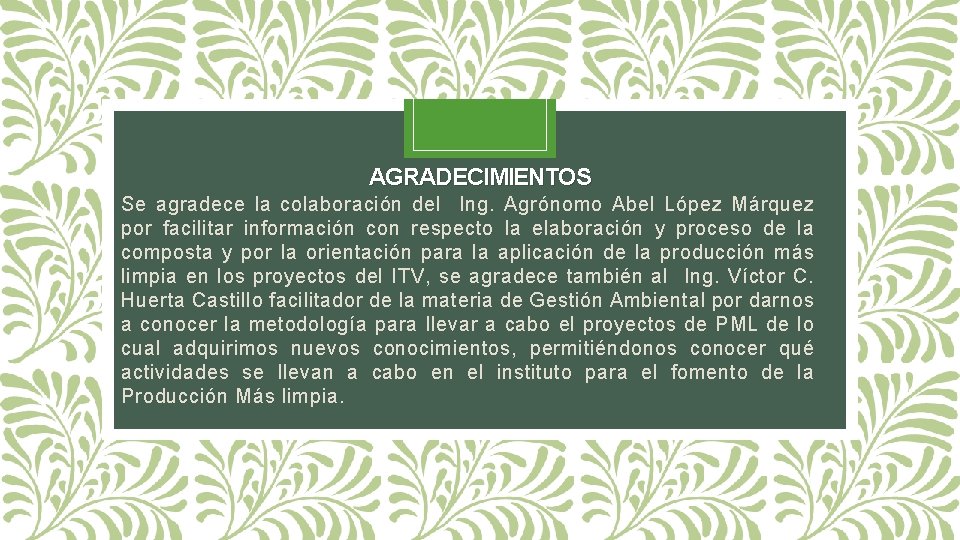 AGRADECIMIENTOS Se agradece la colaboración del Ing. Agrónomo Abel López Márquez por facilitar información