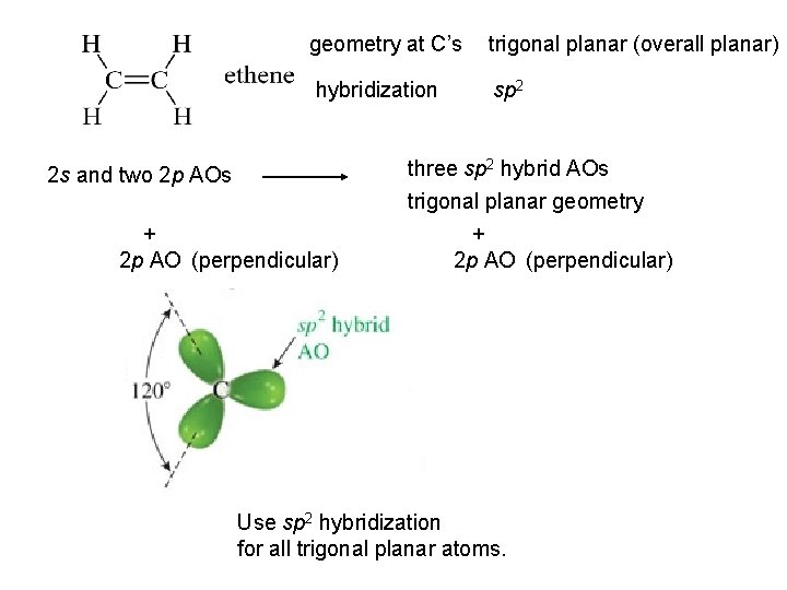 geometry at C’s trigonal planar (overall planar) hybridization sp 2 2 s and two