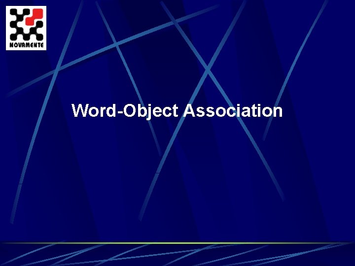 Word-Object Association 