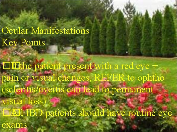 Ocular Manifestations Key Points �� If the patient present with a red eye +