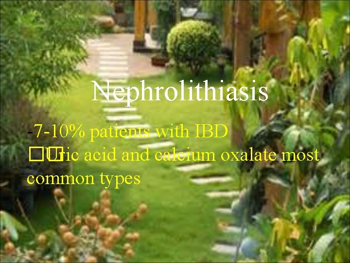 Nephrolithiasis -7 -10% patients with IBD �� Uric acid and calcium oxalate most common