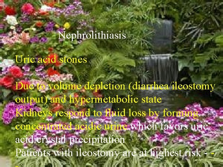 Nephrolithiasis Uric acid stones Due to volume depletion (diarrhea/ileostomy output) and hypermetabolic state Kidneys