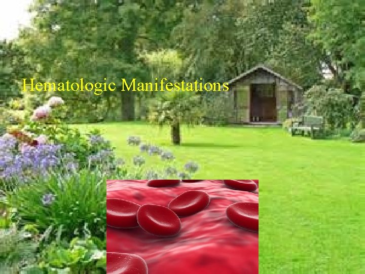 Hematologic Manifestations 