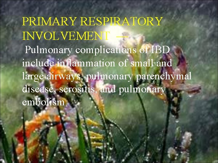 PRIMARY RESPIRATORY INVOLVEMENT — Pulmonary complications of IBD include inflammation of small and large