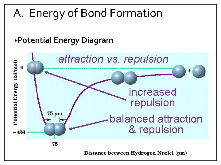 A. Energy of Bond Formation • Potential Energy Diagram attraction vs. repulsion increased repulsion