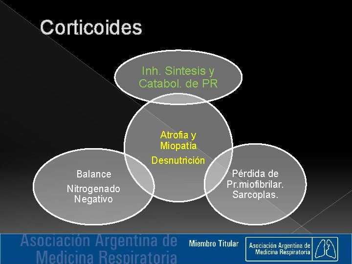 Corticoides Inh. Sintesis y Catabol. de PR Atrofia y Miopatía Desnutrición Balance Nitrogenado Negativo