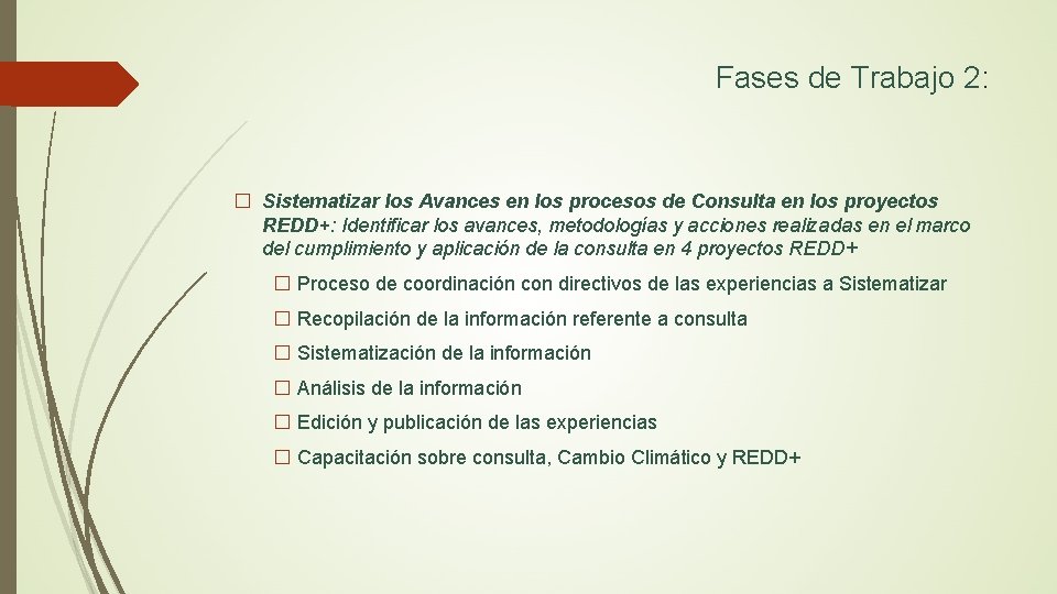 Fases de Trabajo 2: � Sistematizar los Avances en los procesos de Consulta en