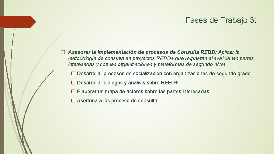Fases de Trabajo 3: � Asesorar la implementación de procesos de Consulta REDD: Aplicar