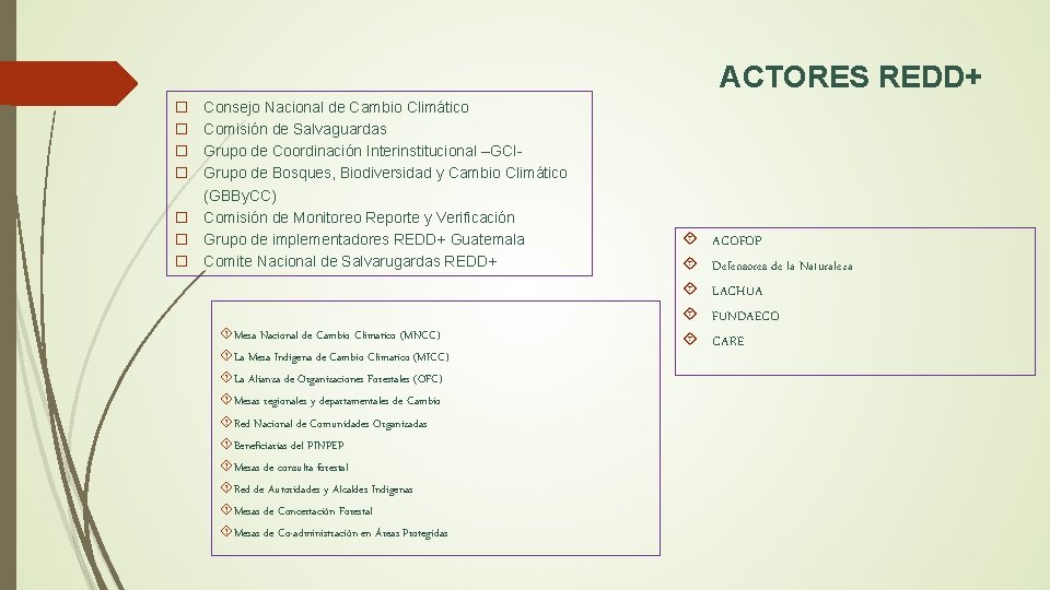 ACTORES REDD+ Consejo Nacional de Cambio Climático Comisión de Salvaguardas Grupo de Coordinación Interinstitucional